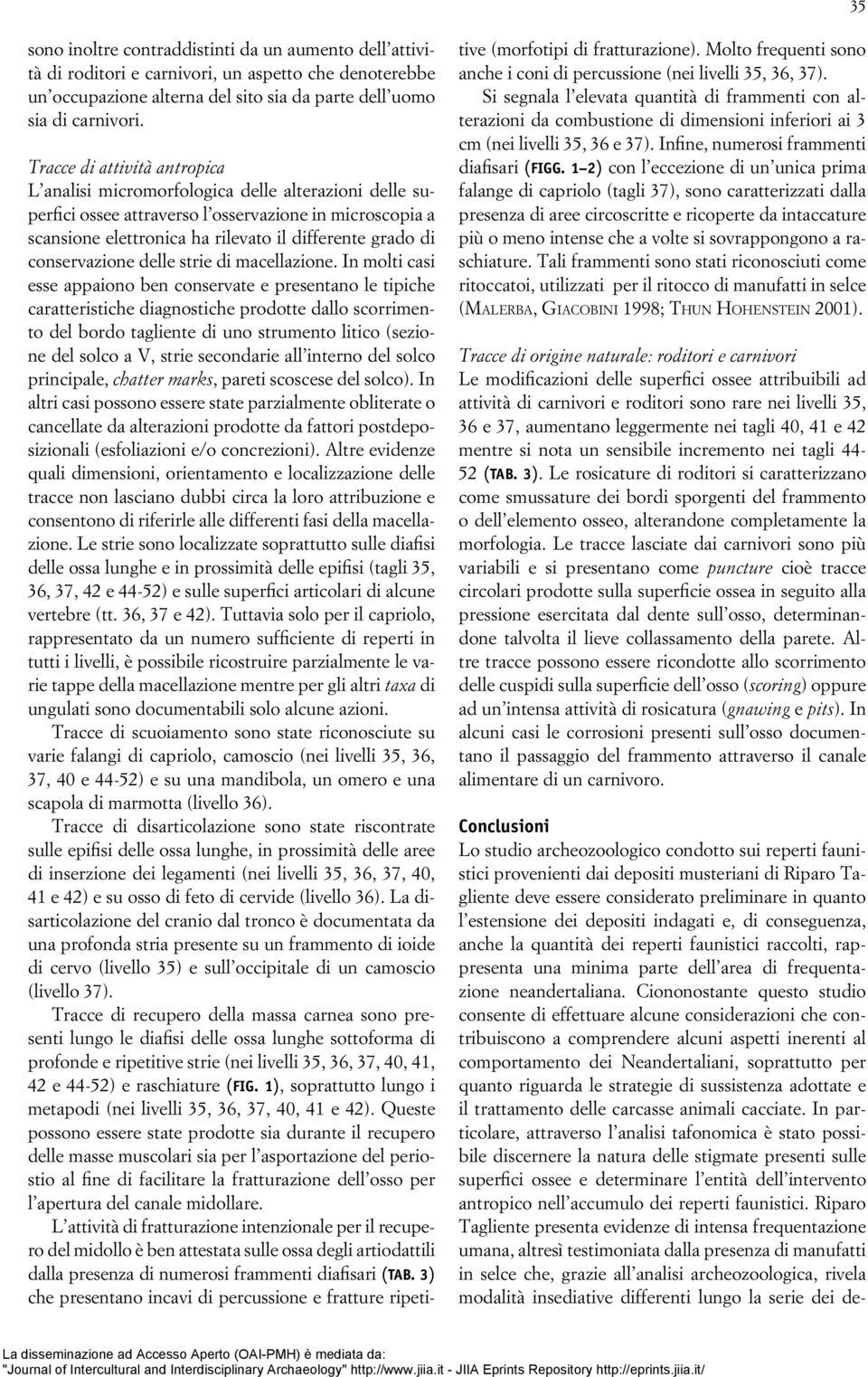 conservazione delle strie di macellazione.