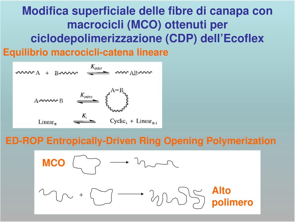 (DP) dell Ecoflex Equilibrio macrocicli-catena lineare