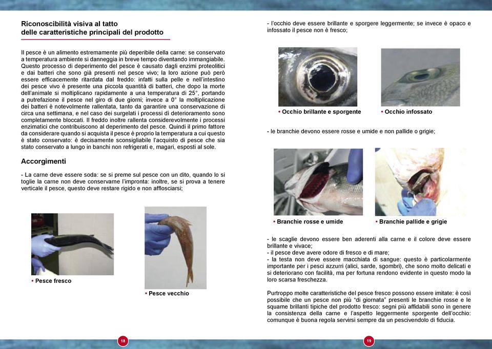 Questo processo di deperimento del pesce è causato dagli enzimi proteolitici e dai batteri che sono già presenti nel pesce vivo; la loro azione può però essere efficacemente ritardata dal freddo: