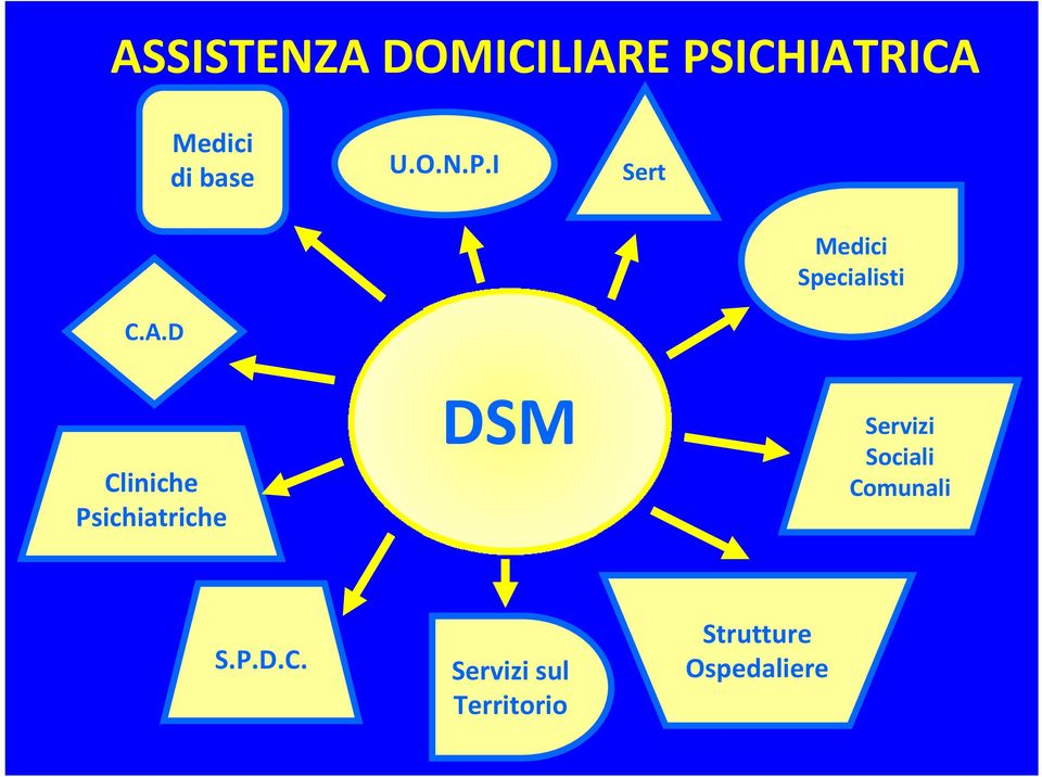 D Cliniche Psichiatriche DSM Servizi Sociali