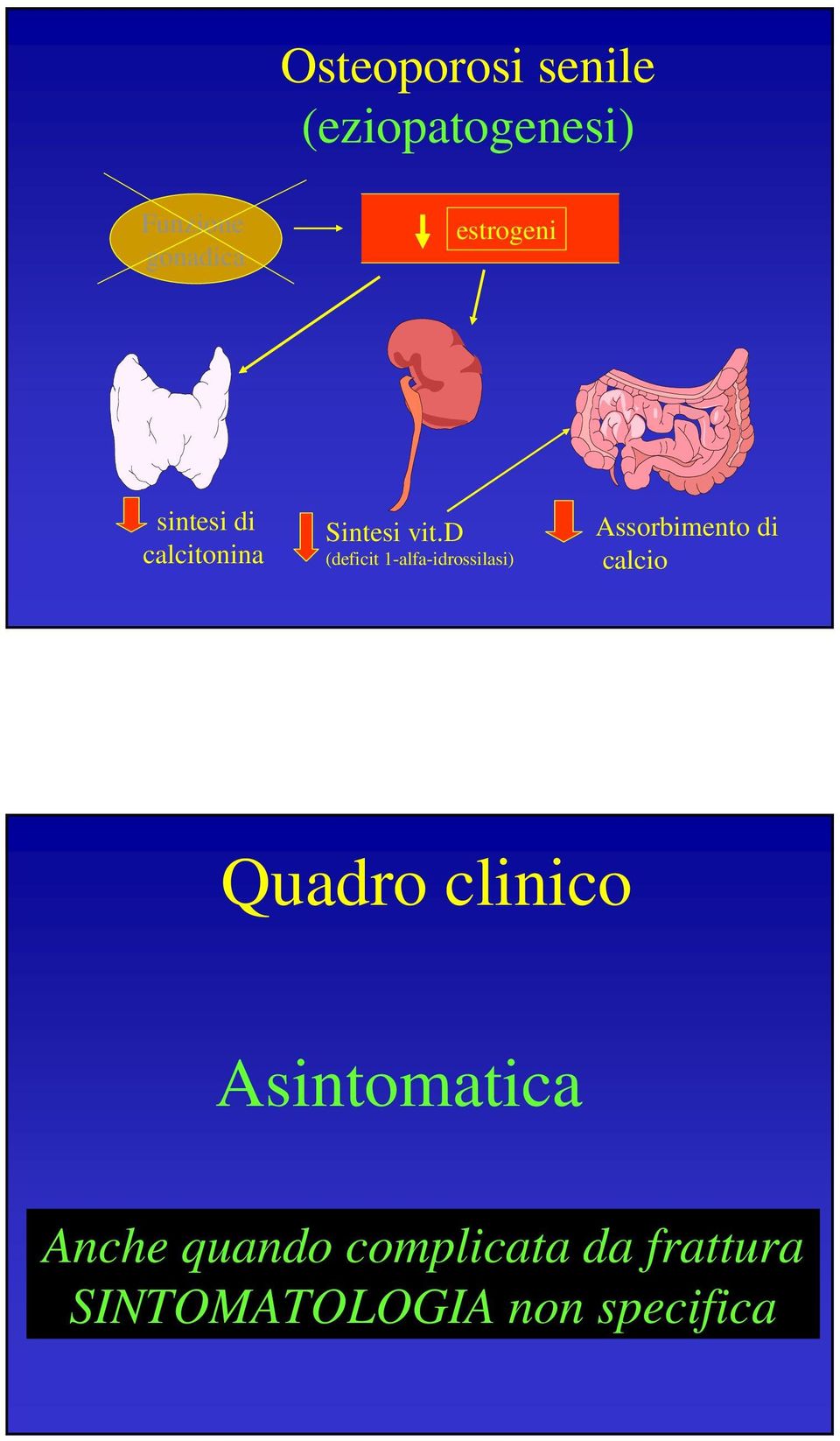 d (deficit 1-alfa-idrossilasi) Assorbimento di calcio Quadro