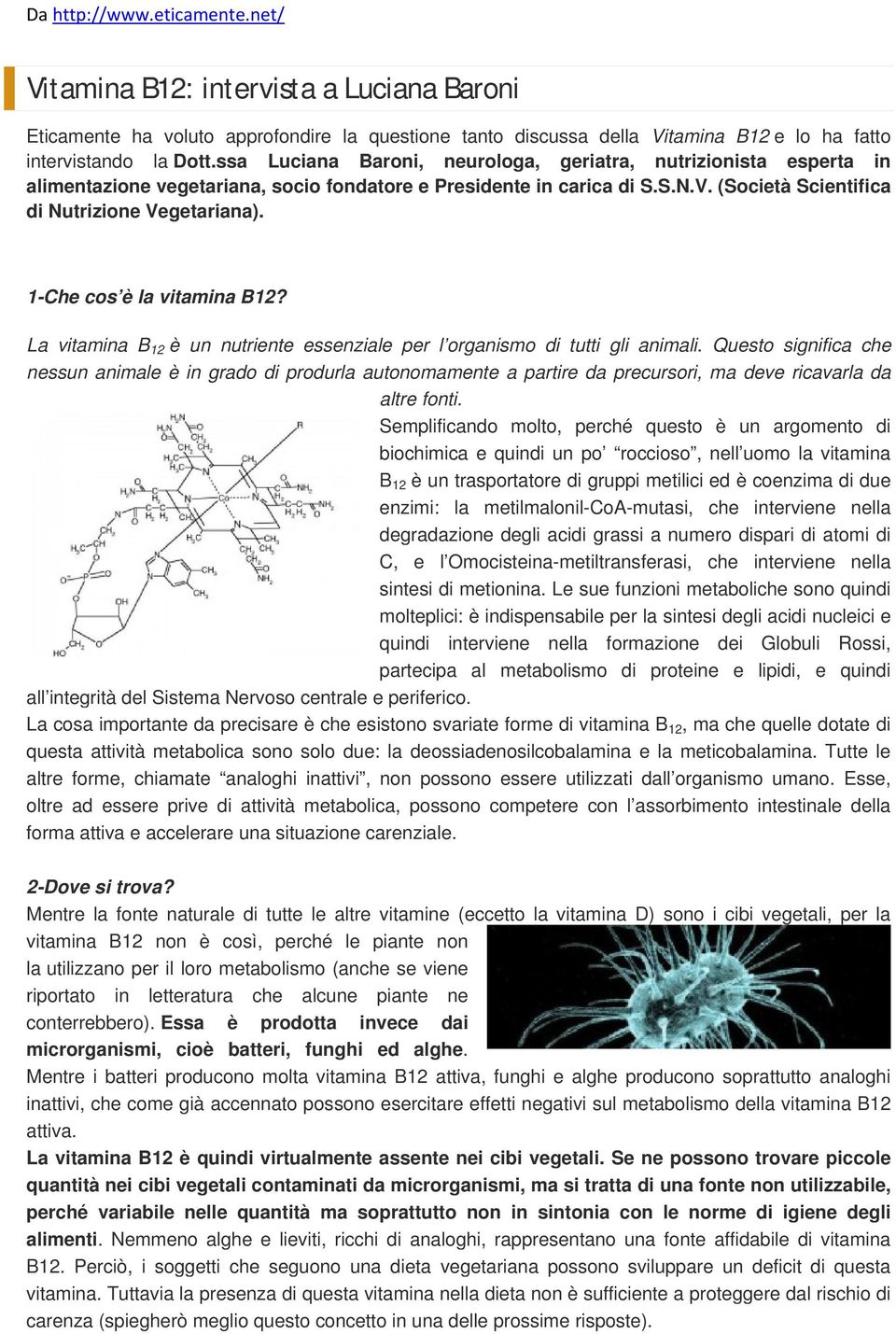 1-Che cos è la vitamina B12? La vitamina B 12 è un nutriente essenziale per l organismo di tutti gli animali.