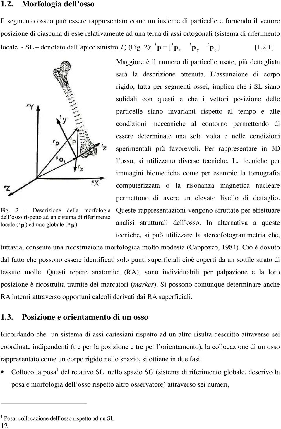 2 Descrizione della morfologia dell osso rispetto ad un sistema di riferimento locale ( l p ) ed uno globale ( g p ) [ x y z Maggiore è il numero di particelle usate, più dettagliata sarà la