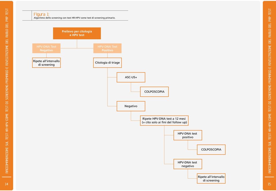 HPV-DNA Test Negativo Ripete all intervallo di screening Prelievo per citologia e HPV test HPV-DNA Test Positivo Citologia di triage ASC-US+ Negativo