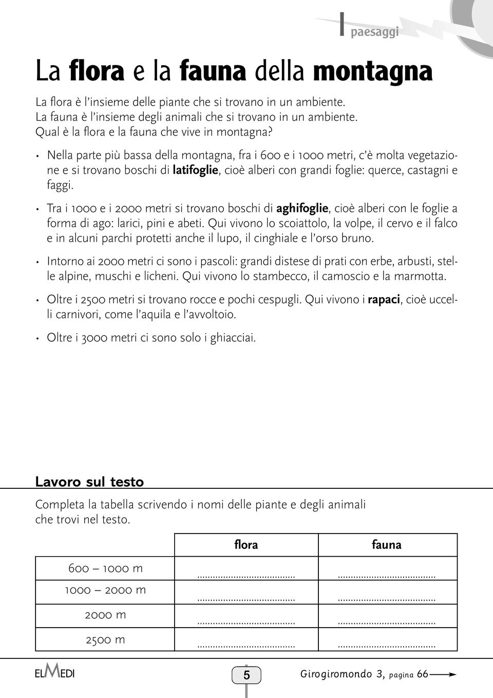 Nella parte più bassa della montagna, fra i 600 e i 1000 metri, c è molta vegetazione e si trovano boschi di latifoglie, cioè alberi con grandi foglie: querce, castagni e faggi.