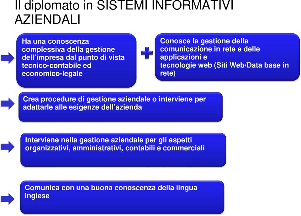 Web/Data base in rete) Crea procedure di gestione aziendale o interviene per adattarle alle esigenze dell azienda Interviene nella