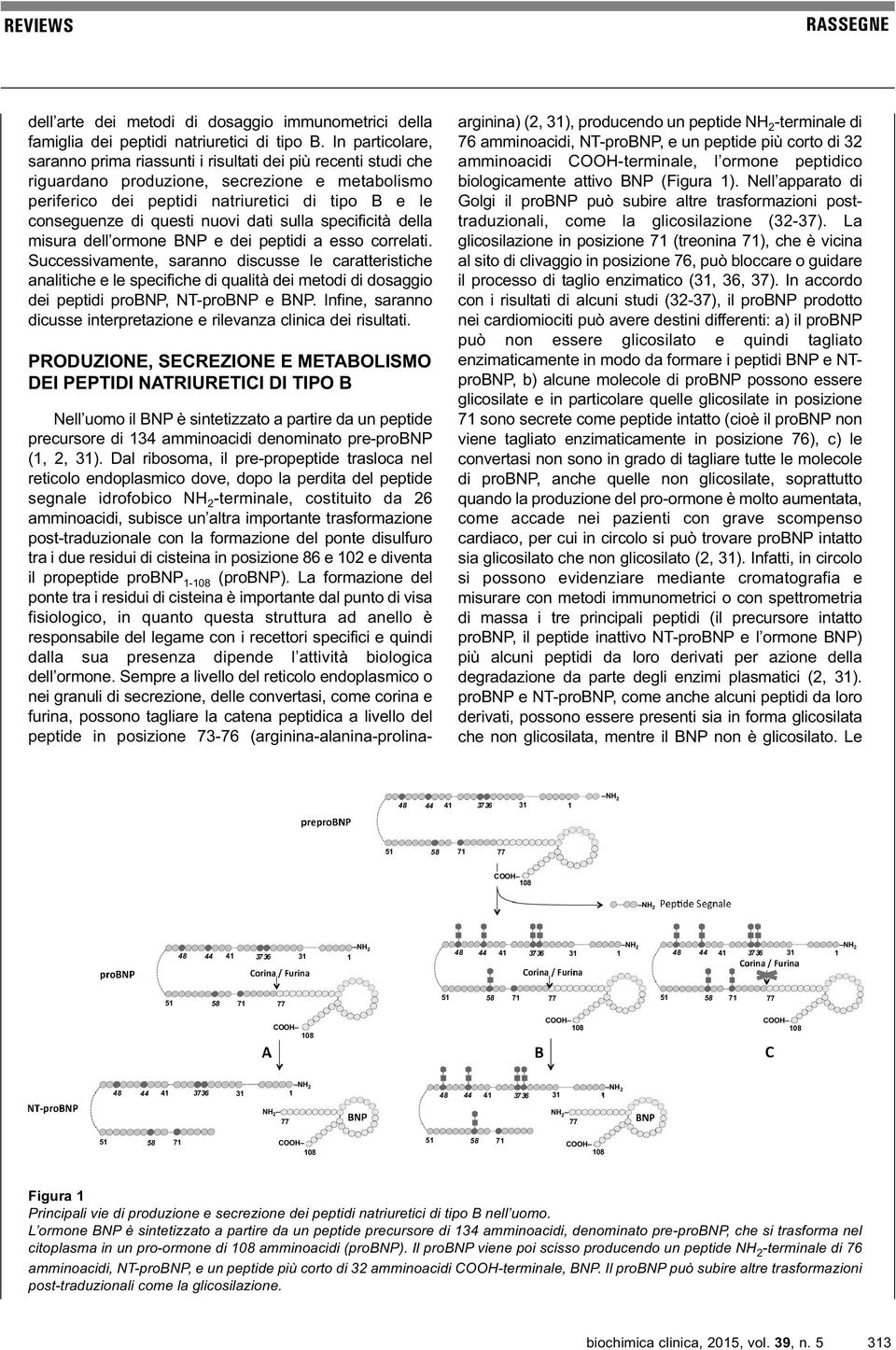 nuovi dati sulla specificità della misura dell ormone BNP e dei peptidi a esso correlati.