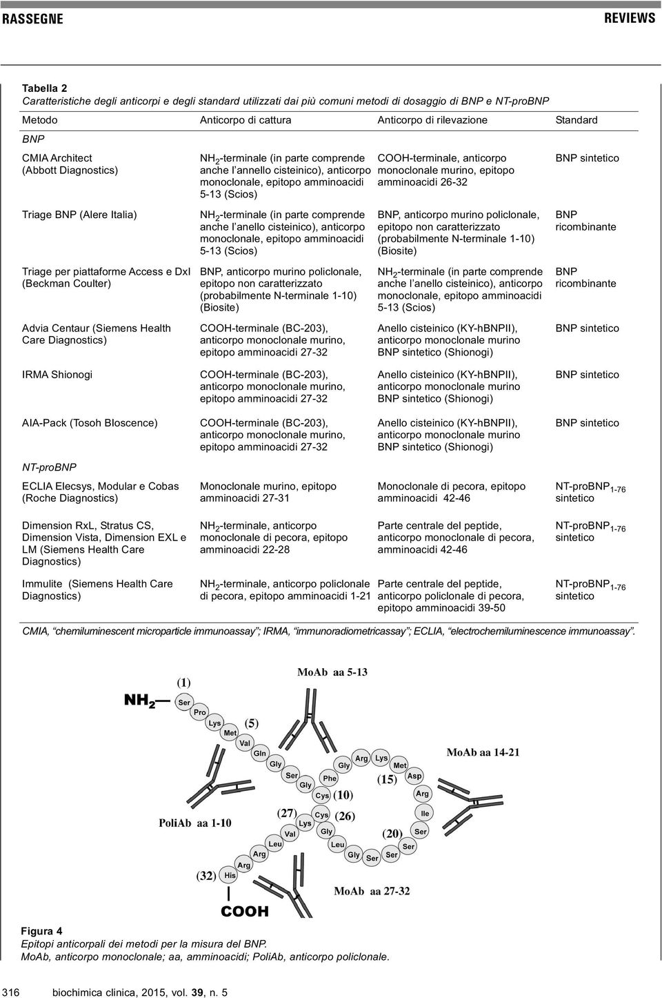 parte comprende anche l annello cisteinico), anticorpo monoclonale, epitopo amminoacidi 5-13 (Scios) NH 2 -terminale (in parte comprende anche l anello cisteinico), anticorpo monoclonale, epitopo