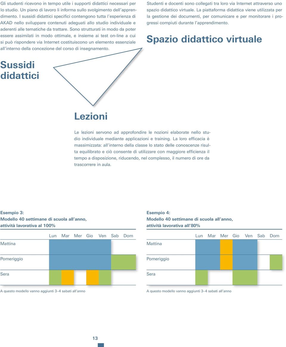 Sono strutturati in modo da poter essere assimilati in modo ottimale, e insieme ai test on-line a cui si può rispondere via Internet costituiscono un elemento essenziale all interno della concezione