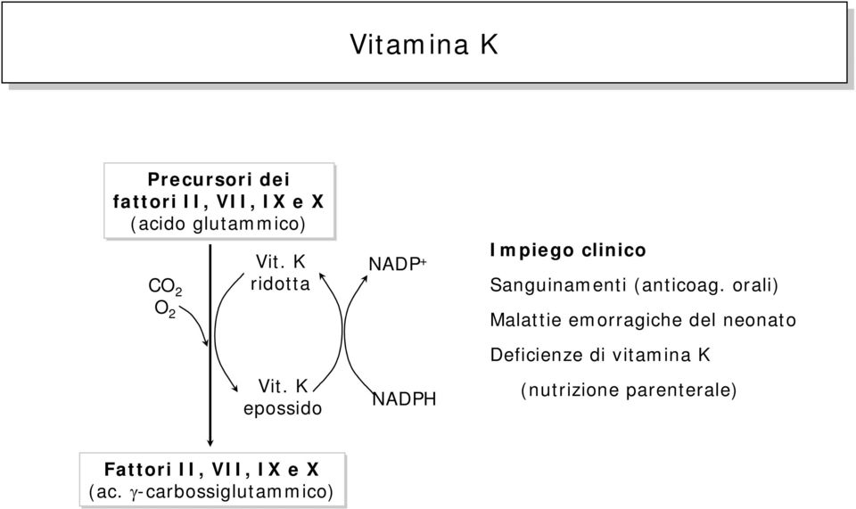 K epossido NADP + NADPH Impiego clinico Sanguinamenti (anticoag.