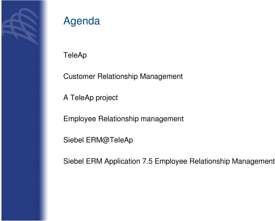 Relationship management Siebel ERM@TeleAp