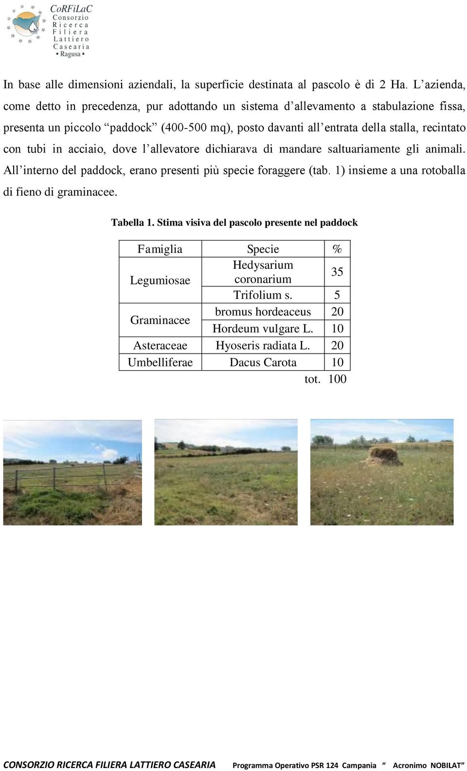 recintato con tubi in acciaio, dove l allevatore dichiarava di mandare saltuariamente gli animali. All interno del paddock, erano presenti più specie foraggere (tab.