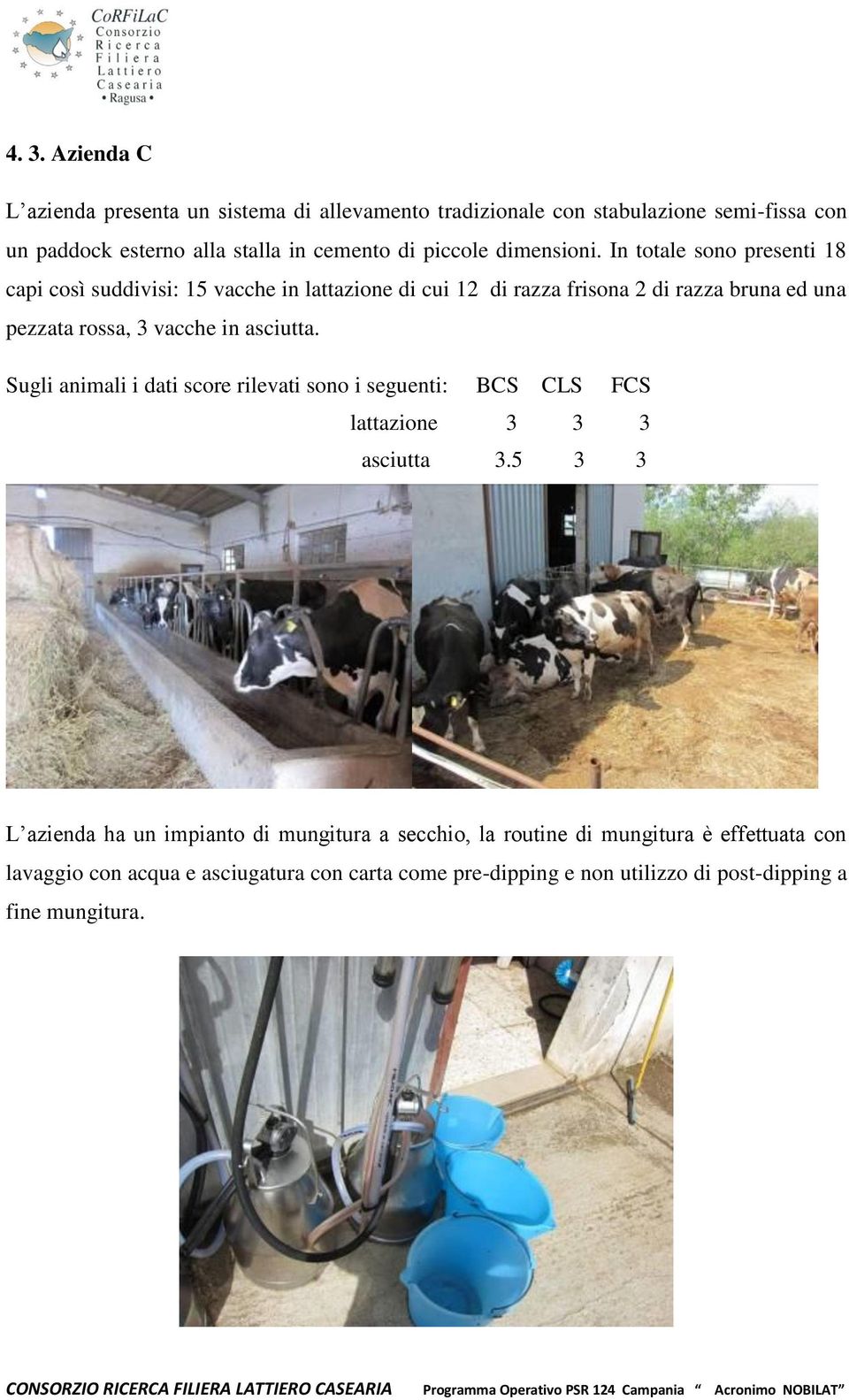 In totale sono presenti 18 capi così suddivisi: 15 vacche in lattazione di cui 12 di razza frisona 2 di razza bruna ed una pezzata rossa, 3 vacche in