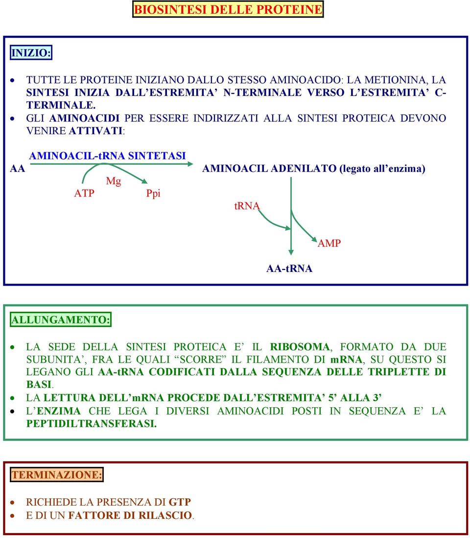 LA SEDE DELLA SINTESI PROTEICA E IL RIBOSOMA, FORMATO DA DUE SUBUNITA, FRA LE QUALI SCORRE IL FILAMENTO DI mrna, SU QUESTO SI LEGANO GLI AA-tRNA CODIFICATI DALLA SEQUENZA DELLE TRIPLETTE DI