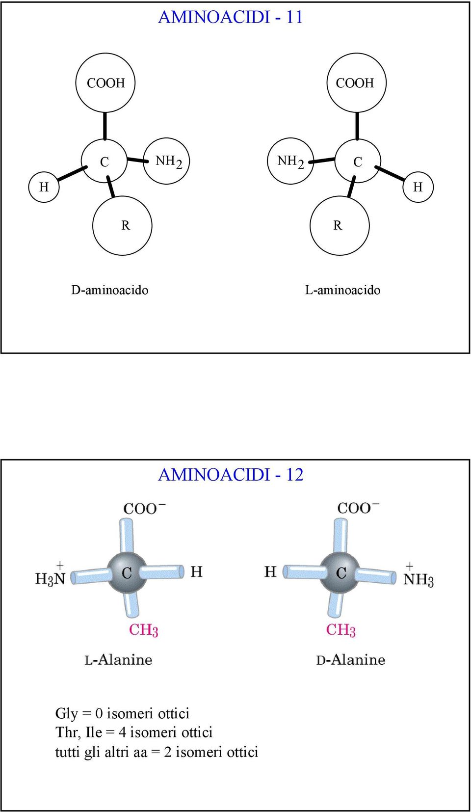 isomeri ottici Thr, Ile = 4 isomeri