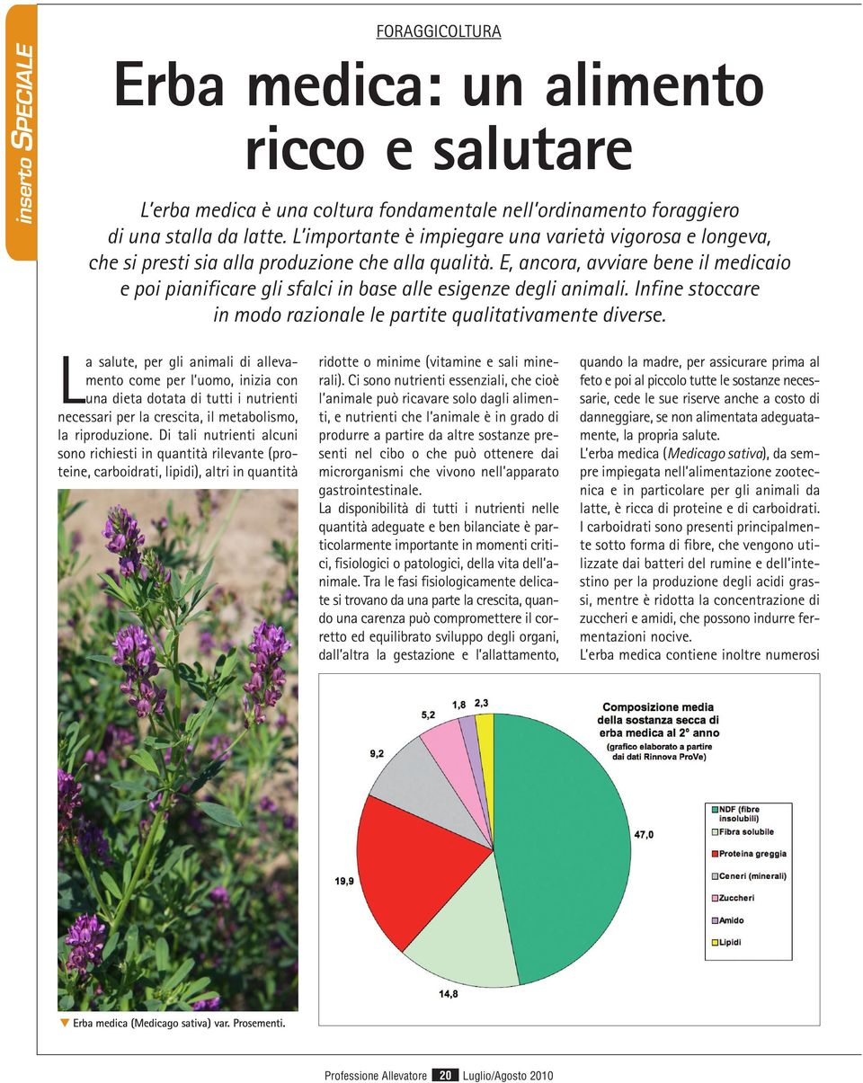 E, ancora, avviare bene il medicaio e poi pianificare gli sfalci in base alle esigenze degli animali. Infine stoccare in modo razionale le partite qualitativamente diverse.