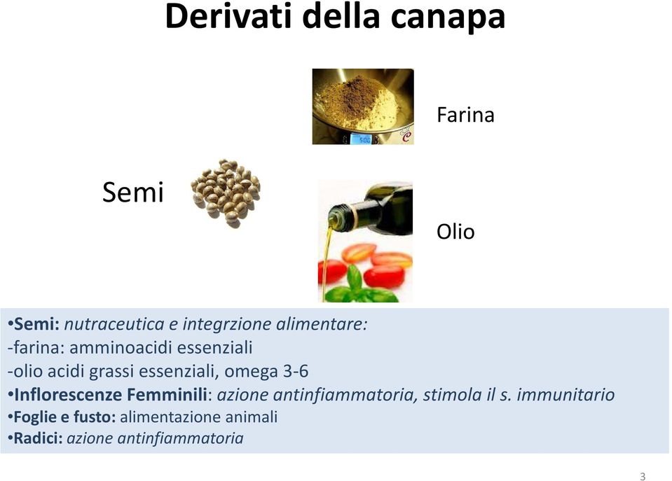 omega 3-6 Inflorescenze Femminili: azione antinfiammatoria, stimola il s.