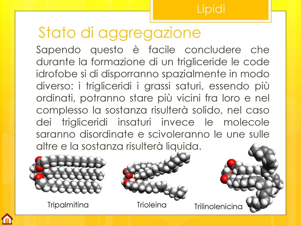 stare più vicini fra loro e nel complesso la sostanza risulterà solido, nel caso dei trigliceridi insaturi invece le