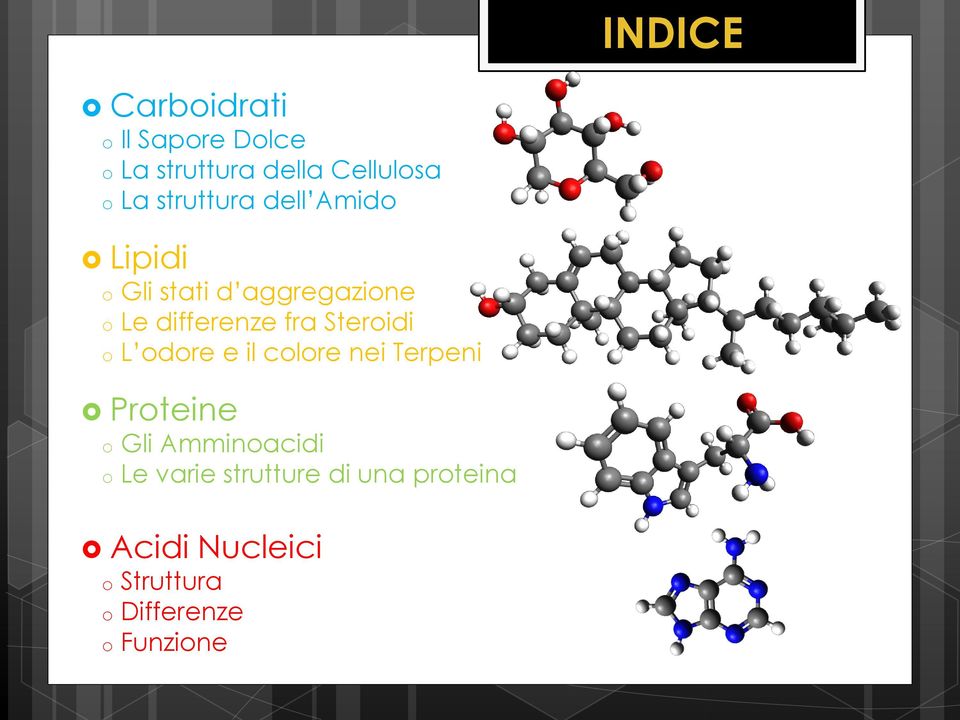 Steroidi o L odore e il colore nei Terpeni Proteine o Gli Amminoacidi o Le