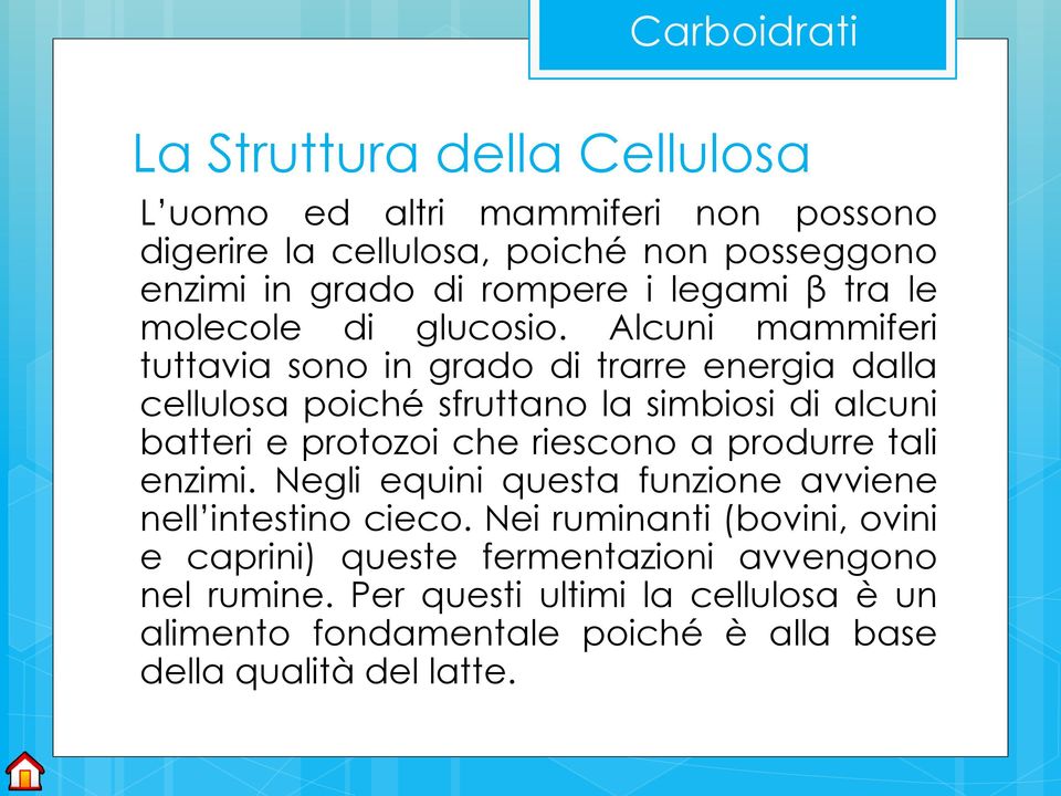 Alcuni mammiferi tuttavia sono in grado di trarre energia dalla cellulosa poiché sfruttano la simbiosi di alcuni batteri e protozoi che riescono a