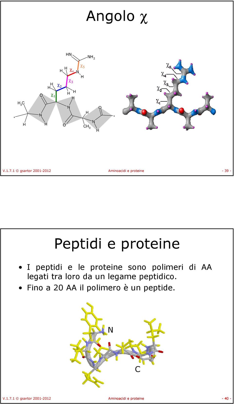 peptidi e le proteine sono polimeri di AA legati tra loro da un legame