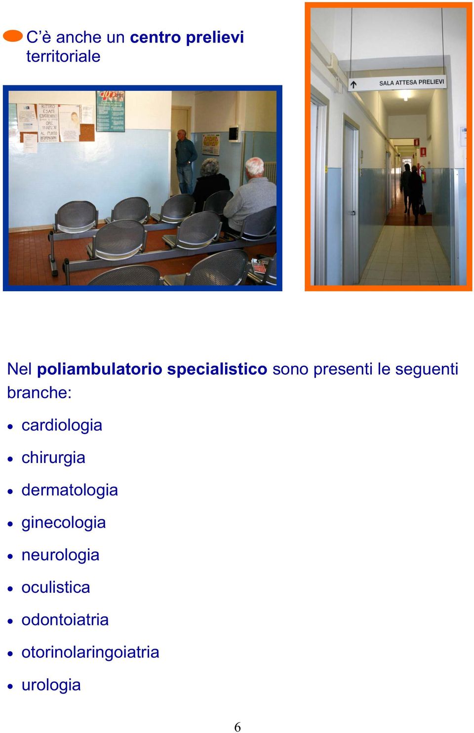 cardiologia chirurgia dermatologia ginecologia