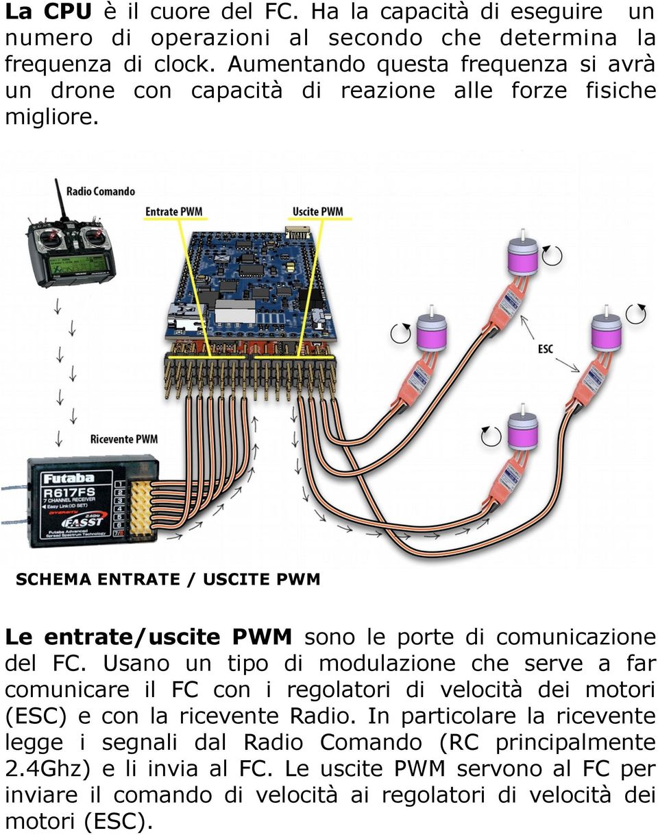 SCHEMA ENTRATE / USCITE PWM Le entrate/uscite PWM sono le porte di comunicazione del FC.