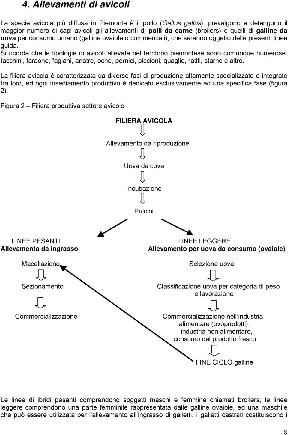 Si ricorda che le tipologie di avicoli allevate nel territorio piemontese sono comunque numerose: tacchini, faraone, fagiani, anatre, oche, pernici, piccioni, quaglie, ratiti, starne e altro.