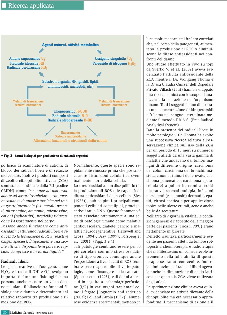 dannose e tossiche nel tratto gastrointestinale (es. metalli pesanti, nitrosamine, ammonio, micotossine, cationi (radioattivi), pesticidi) riducendone l assorbimento nel corpo.