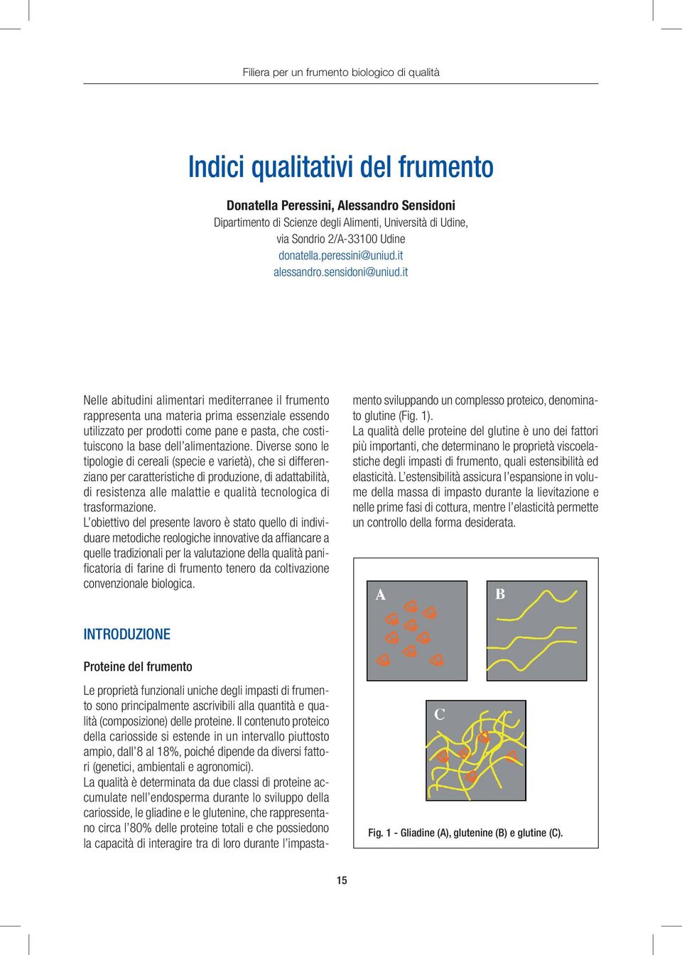 it Nelle abitudini alimentari mediterranee il frumento rappresenta una materia prima essenziale essendo utilizzato per prodotti come pane e pasta, che costituiscono la base dell alimentazione.