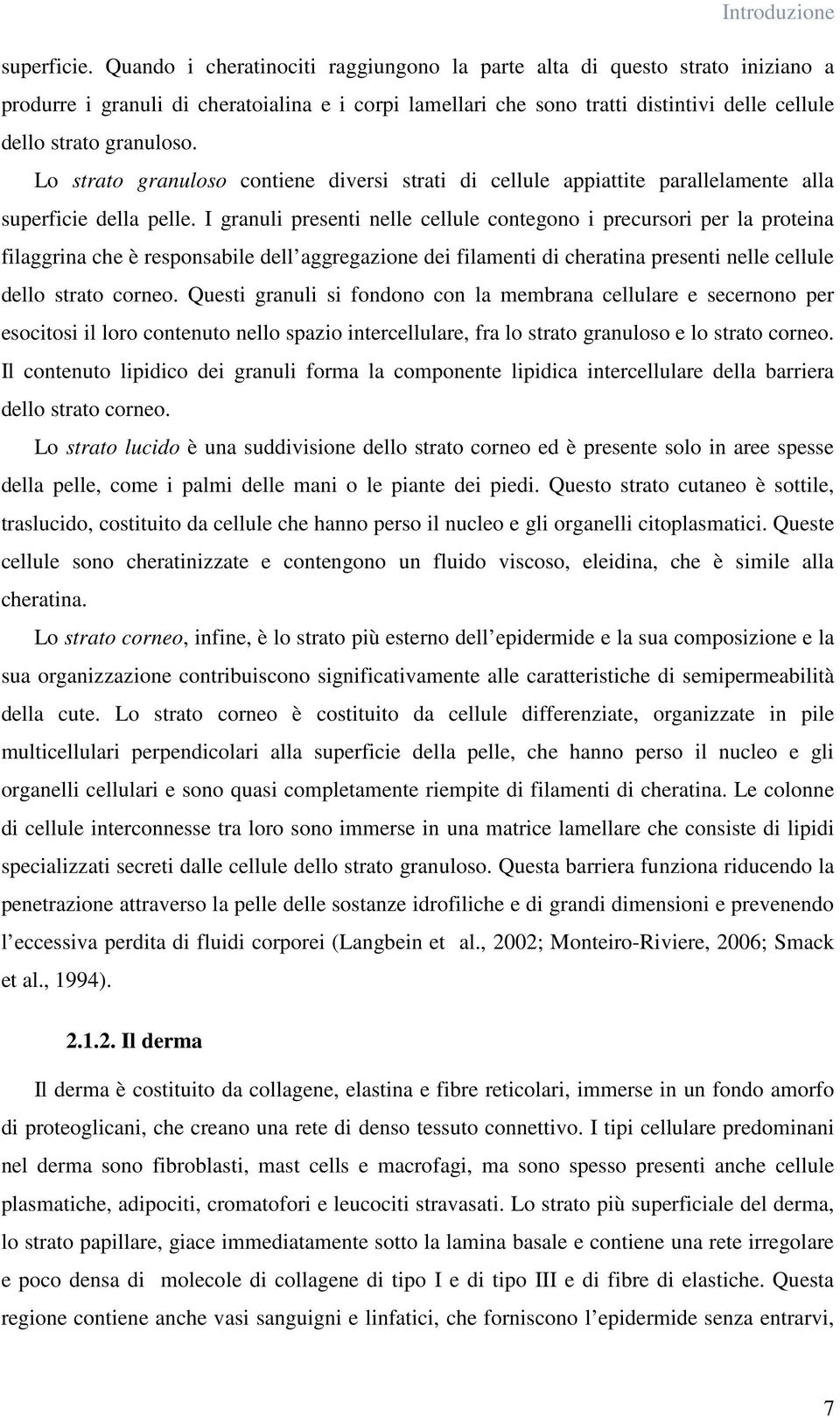 Lo strato granuloso contiene diversi strati di cellule appiattite parallelamente alla superficie della pelle.