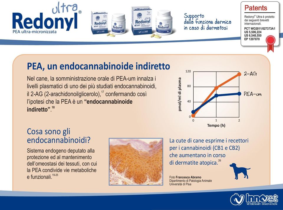 endocannabinoidi, 17 il 2-AG (2-arachidonoilglicerolo), confermando così l ipotesi che la PEA è un endocannabinoide 18 indiretto. Cosa sono gli endocannabinoidi?