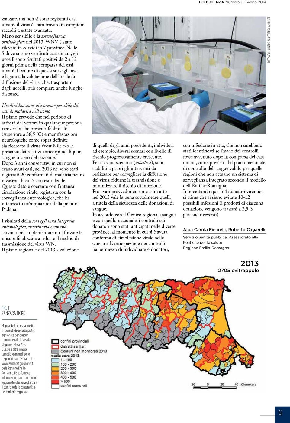 Nelle 5 dove si sono verificati casi umani, gli uccelli sono risultati positivi da 2 a 12 giorni prima della comparsa dei casi umani.