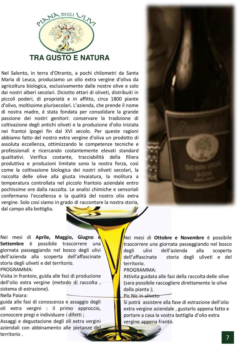 L azienda, che prende il nome di nostra madre, è stata fondata per consolidare la grande passione dei nostri genitori: conservare la tradizione di coltivazione degli antichi oliveti e la produzione