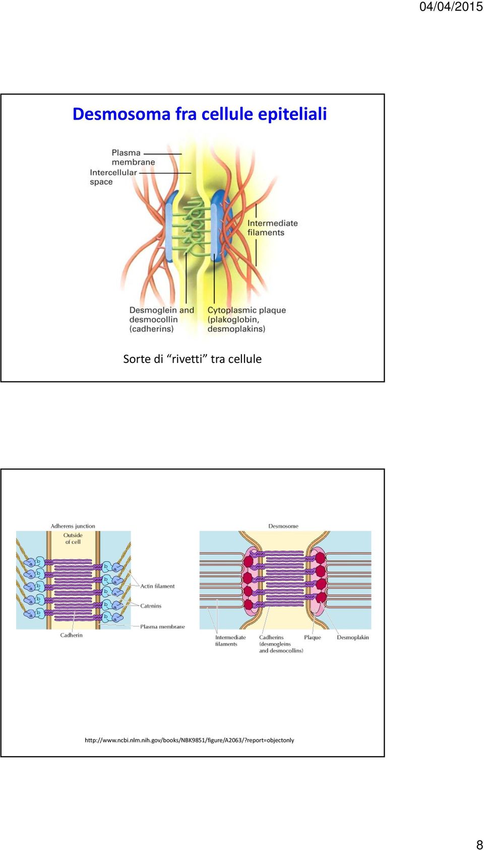 http://www.ncbi.nlm.nih.