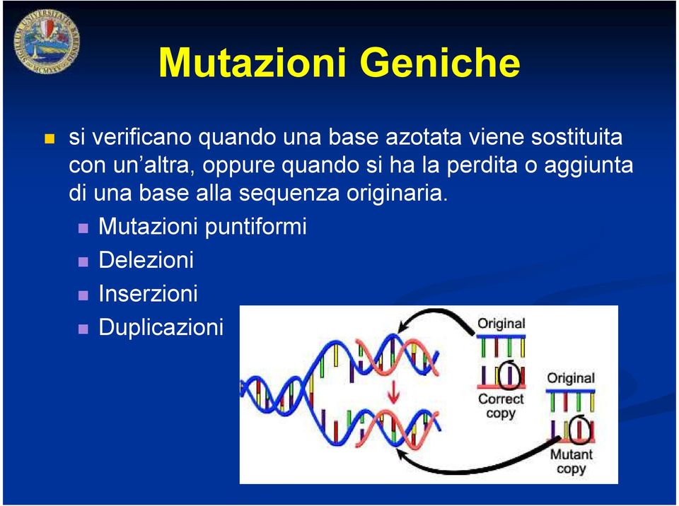 perdita o aggiunta di una base alla sequenza originaria.