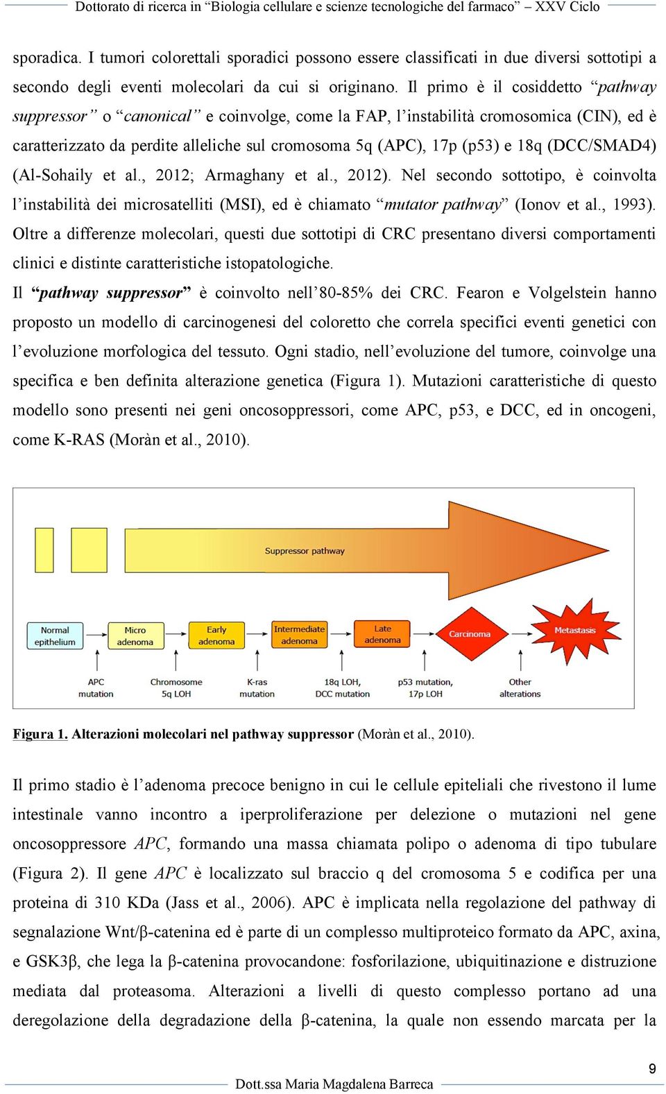 (DCC/SMAD4) (Al-Sohaily et al., 2012; Armaghany et al., 2012). Nel secondo sottotipo, è coinvolta l instabilità dei microsatelliti (MSI), ed è chiamato mutator pathway (Ionov et al., 1993).