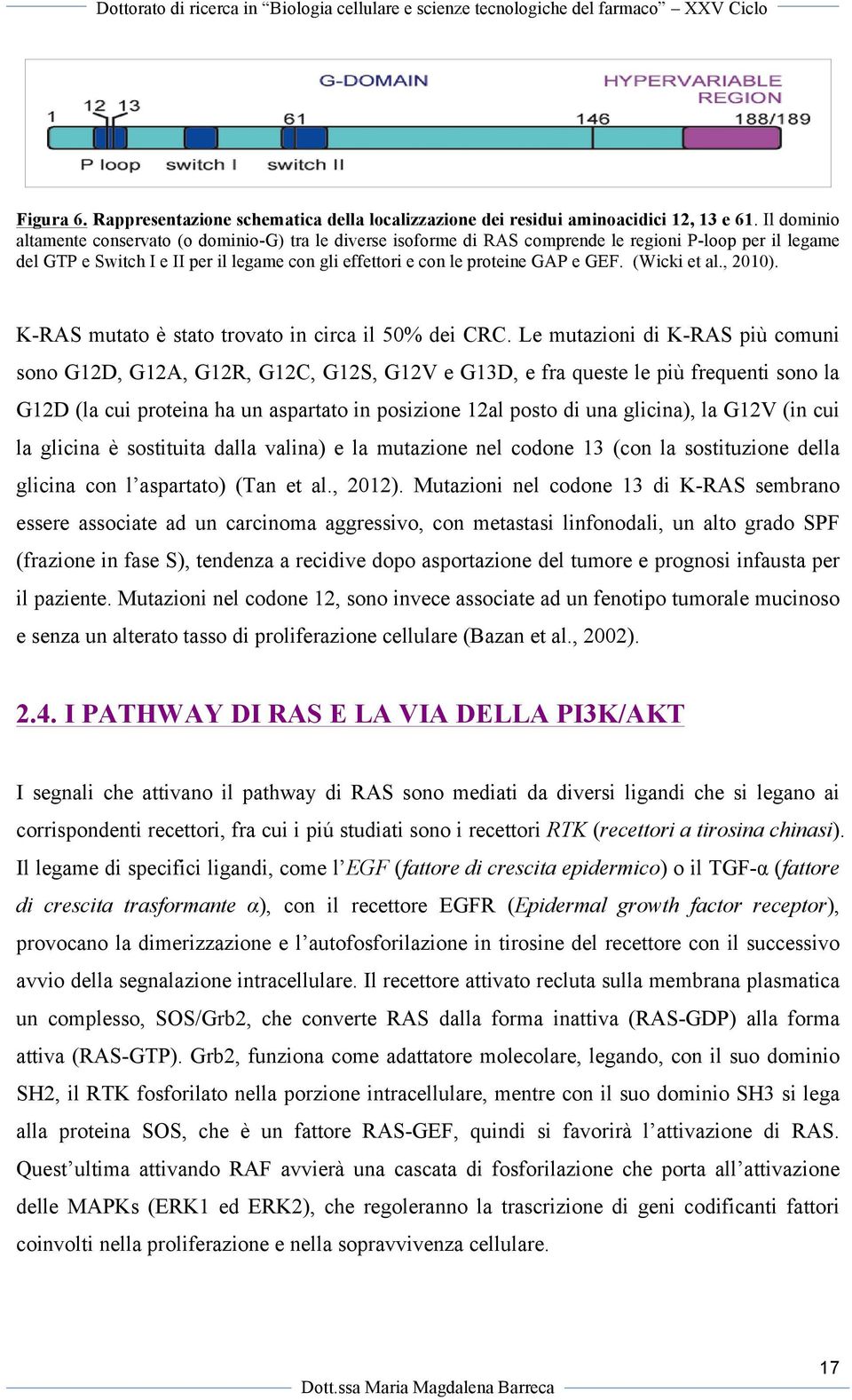 GEF. (Wicki et al., 2010). K-RAS mutato è stato trovato in circa il 50% dei CRC.