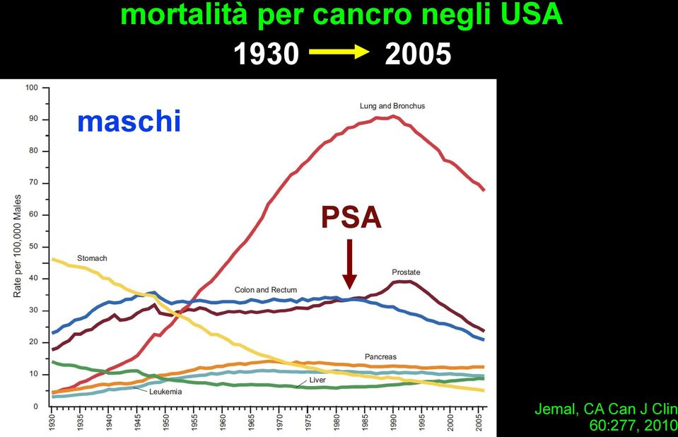 2005 PSA Jemal, CA