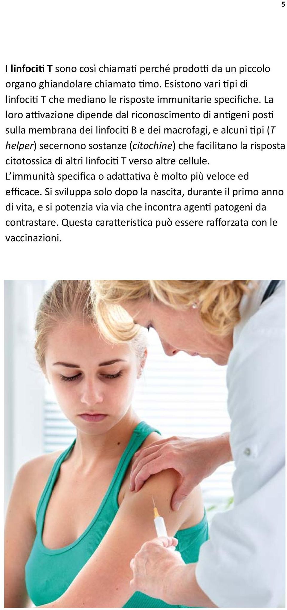 La loro attivazione dipende dal riconoscimento di antigeni posti sulla membrana dei linfociti B e dei macrofagi, e alcuni tipi (T helper) secernono sostanze (citochine) che