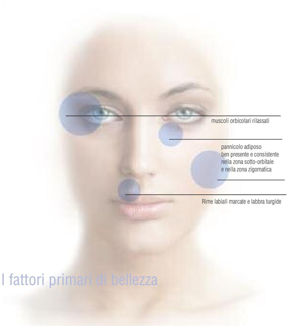 sotto-orbitale e nella zona zigomatica Rime