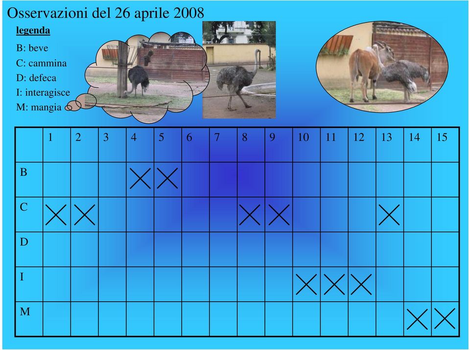 defeca I: interagisce M: mangia 1