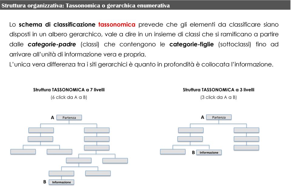 (sottoclassi) fino ad arrivare all unità di informazione vera e propria.