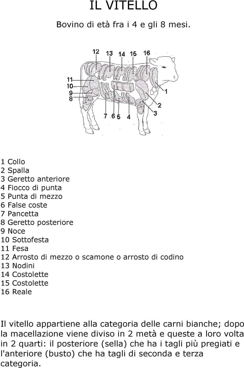 Sottofesta 11 Fesa 12 Arrosto di mezzo o scamone o arrosto di codino 13 Nodini 14 Costolette 15 Costolette 16 Reale Il vitello