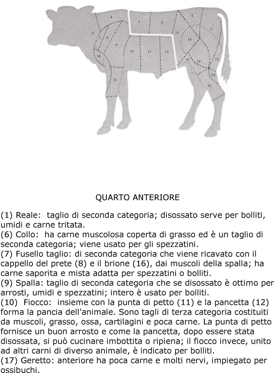 (7) Fusello taglio: di seconda categoria che viene ricavato con il cappello del prete (8) e il brione (16), dai muscoli della spalla; ha carne saporita e mista adatta per spezzatini o bolliti.