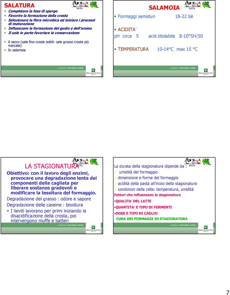 titolabile 8-10 SH/50 TEMPERATURA 10-14 C max 15 C LA STAGIONATURA Obiettivo: con il lavoro degli enzimi, provocare una degradazione lenta dei componenti della cagliata per liberare sostanze