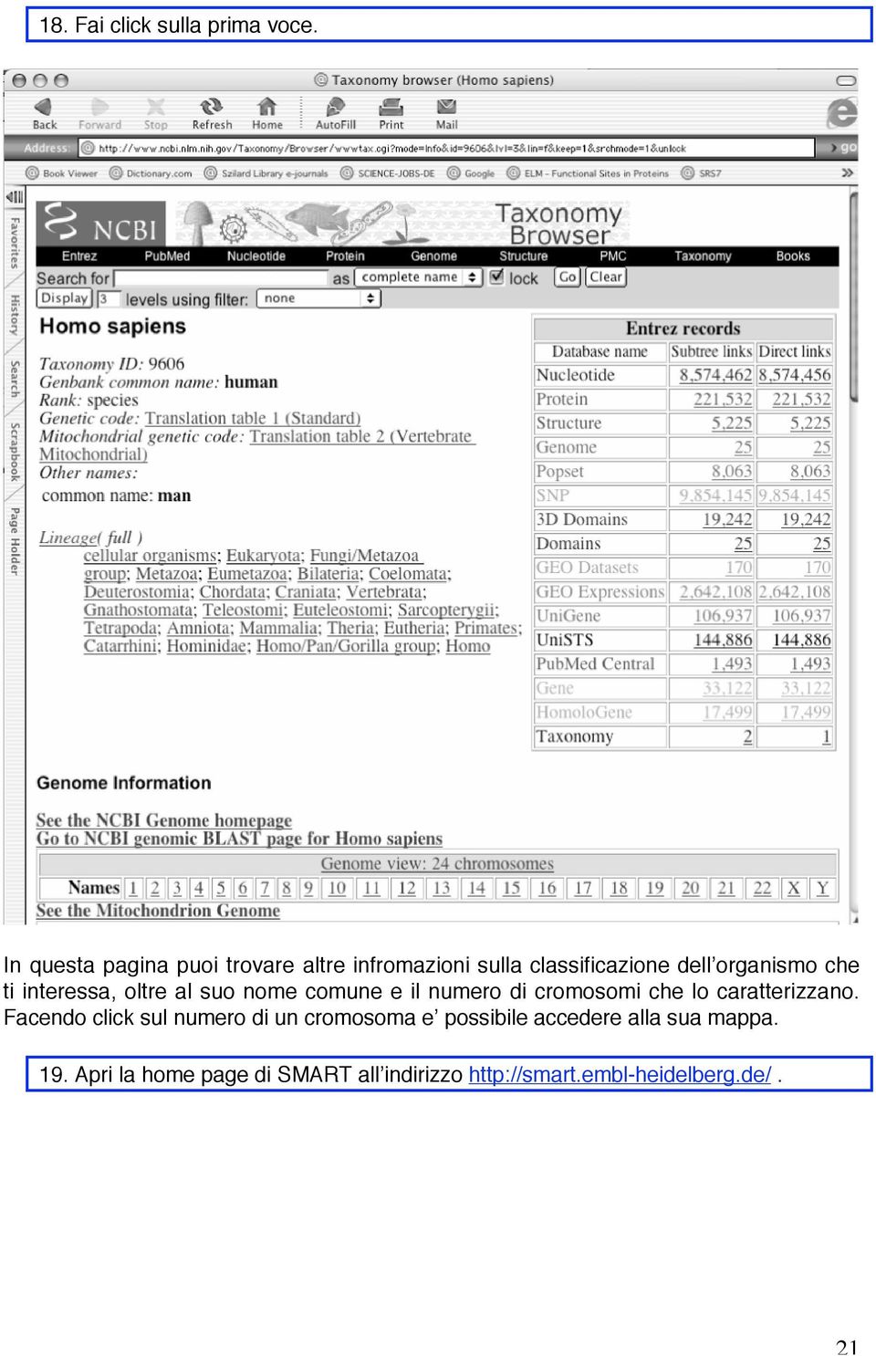 ti interessa, oltre al suo nome comune e il numero di cromosomi che lo caratterizzano.