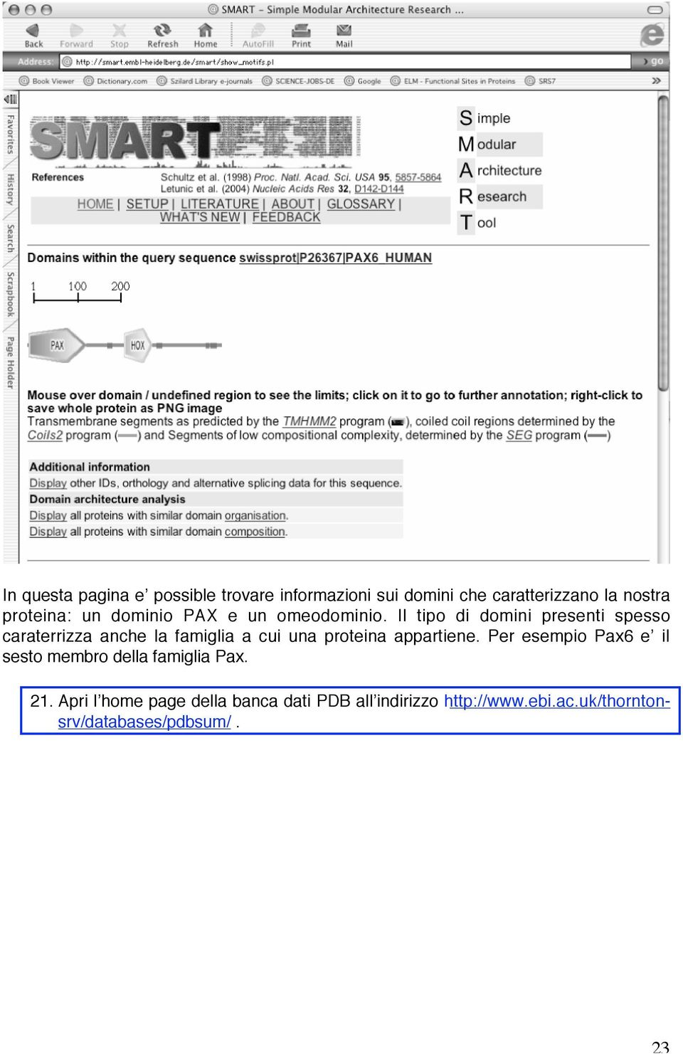 Il tipo di domini presenti spesso caraterrizza anche la famiglia a cui una proteina appartiene.