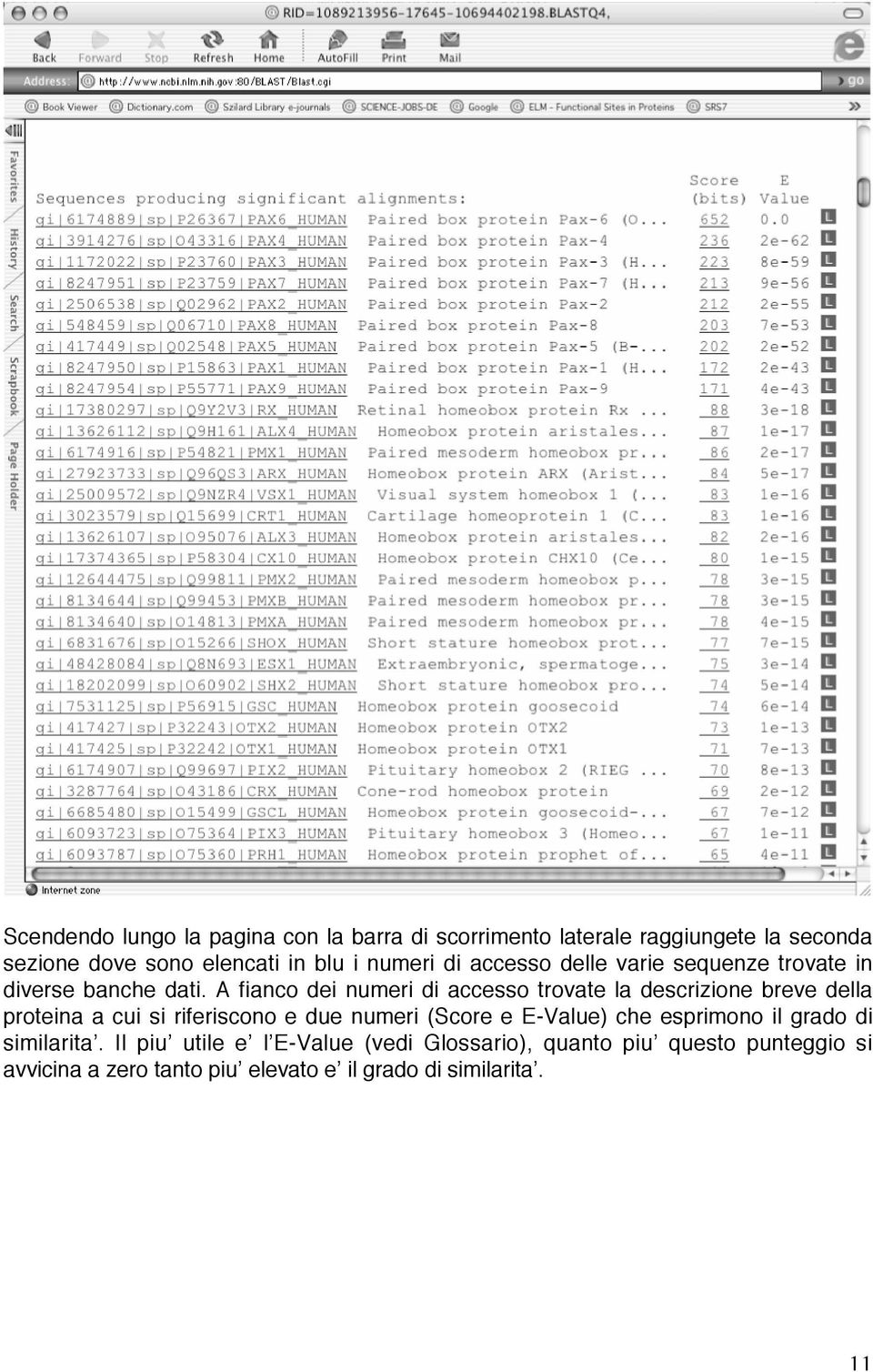 A fianco dei numeri di accesso trovate la descrizione breve della proteina a cui si riferiscono e due numeri (Score e