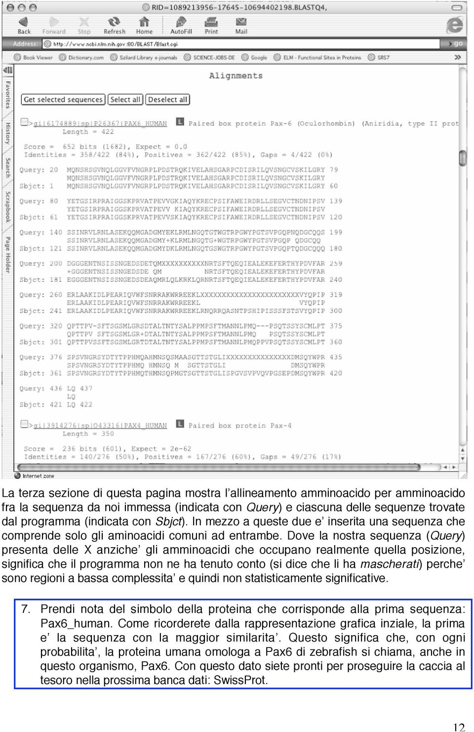 Dove la nostra sequenza (Query) presenta delle X anziche gli amminoacidi che occupano realmente quella posizione, significa che il programma non ne ha tenuto conto (si dice che li ha mascherati)